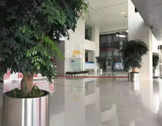 大堂区域