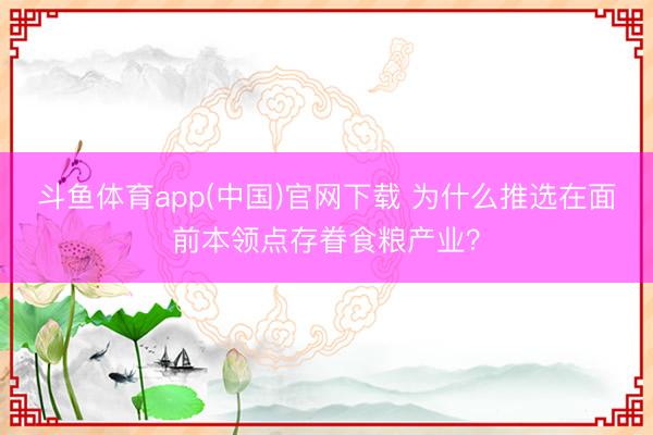 斗鱼体育app(中国)官网下载 为什么推选在面前本领点存眷食粮产业？
