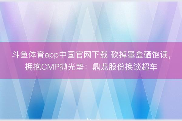 斗鱼体育app中国官网下载 砍掉墨盒硒饱读，拥抱CMP抛光垫：鼎龙股份换谈超车