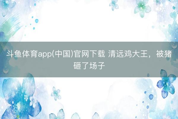 斗鱼体育app(中国)官网下载 清远鸡大王，被猪砸了场子