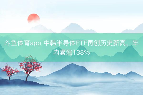 斗鱼体育app 中韩半导体ETF再创历史新高，年内累涨138%