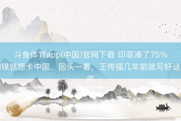 斗鱼体育app(中国)官网下载 印菲凑了75%的镍就想卡中国，回头一看，王传福几年前就写好谜底