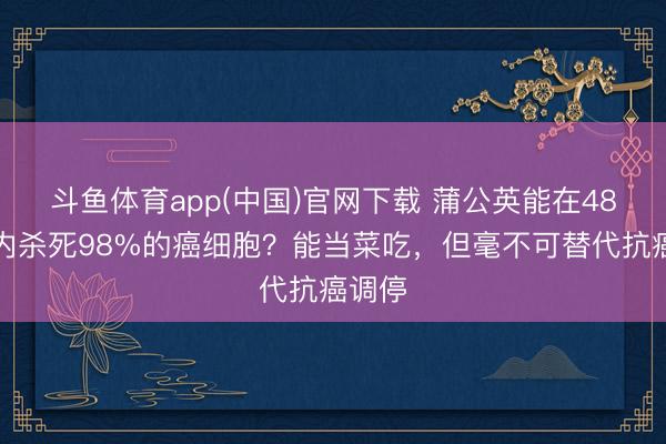 斗鱼体育app(中国)官网下载 蒲公英能在48小时内杀死98%的癌细胞？能当菜吃，但毫不可替代抗癌调停
