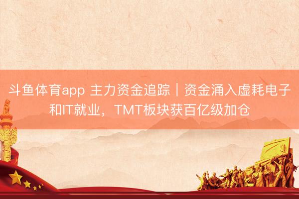 斗鱼体育app 主力资金追踪｜资金涌入虚耗电子和IT就业，TMT板块获百亿级加仓