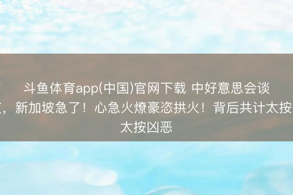 斗鱼体育app(中国)官网下载 中好意思会谈前夜，新加坡急了！心急火燎豪恣拱火！背后共计太按凶恶