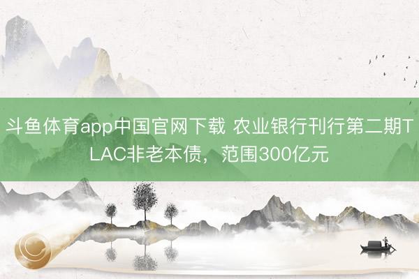 斗鱼体育app中国官网下载 农业银行刊行第二期TLAC非老本债，范围300亿元