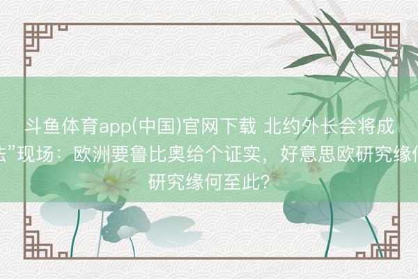 斗鱼体育app(中国)官网下载 北约外长会将成“讨说法”现场：欧洲要鲁比奥给个证实，好意思欧研究缘何至此？