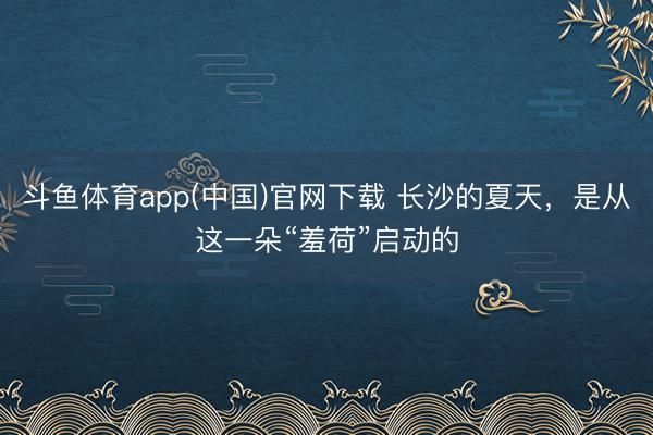 斗鱼体育app(中国)官网下载 长沙的夏天，是从这一朵“羞荷”启动的