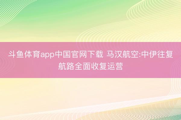 斗鱼体育app中国官网下载 马汉航空:中伊往复航路全面收复运营