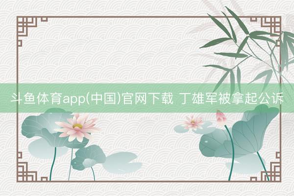 斗鱼体育app(中国)官网下载 丁雄军被拿起公诉